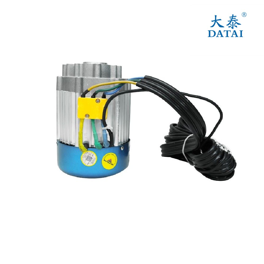 Datai 1000 Watt BLDC Motor - View 4