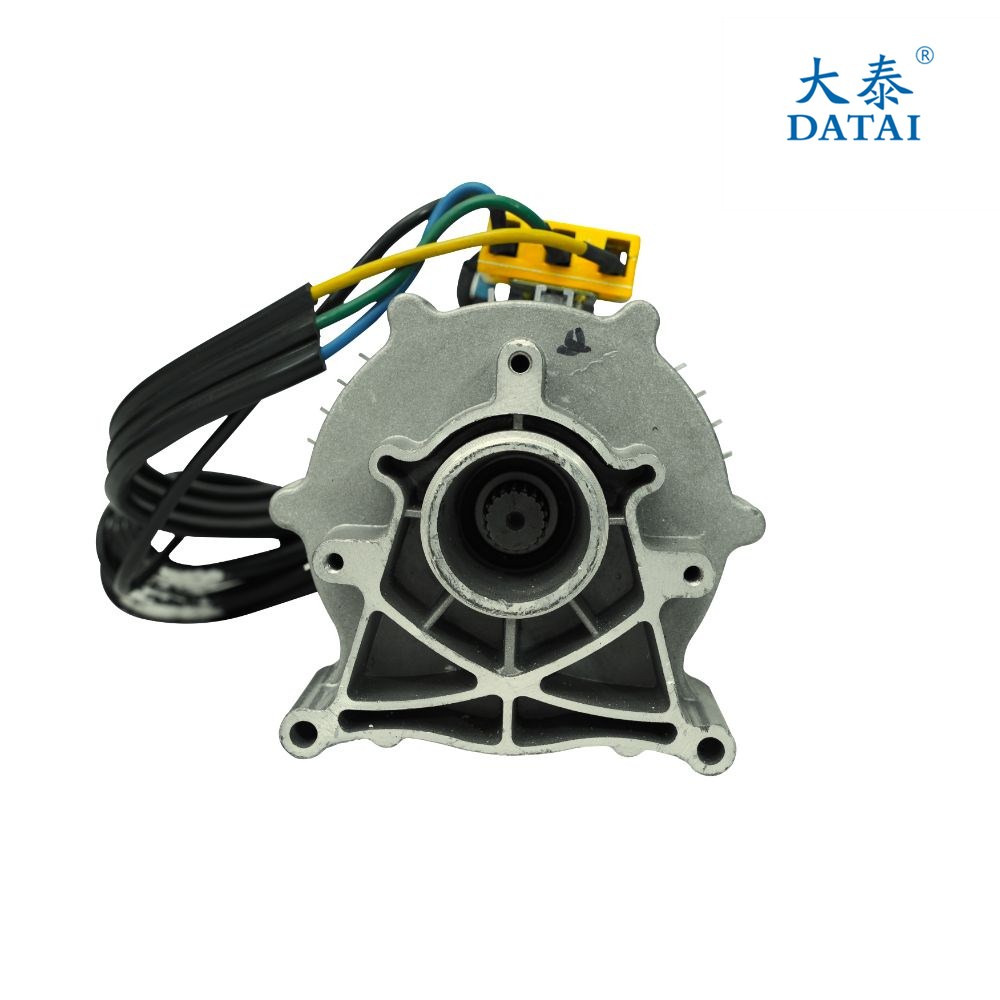 Datai 1000 Watt BLDC Motor - View 2