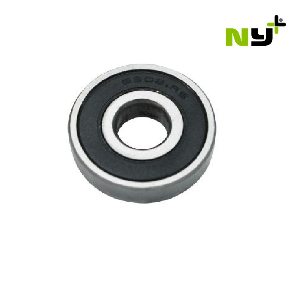 NY+ 6302 Bearing