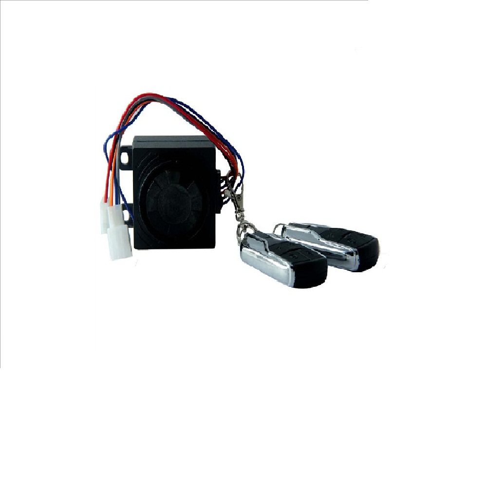 Central Lock with Remote