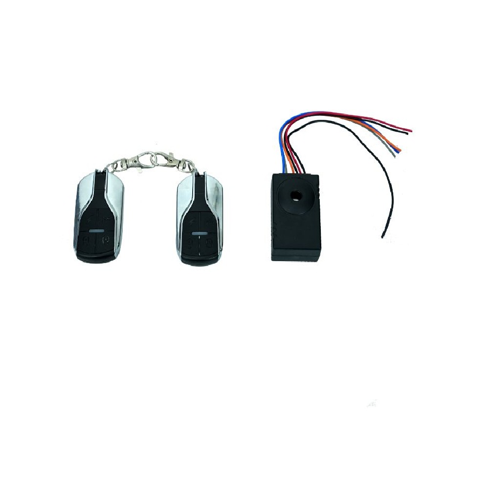 Central Lock with Remote - View 2