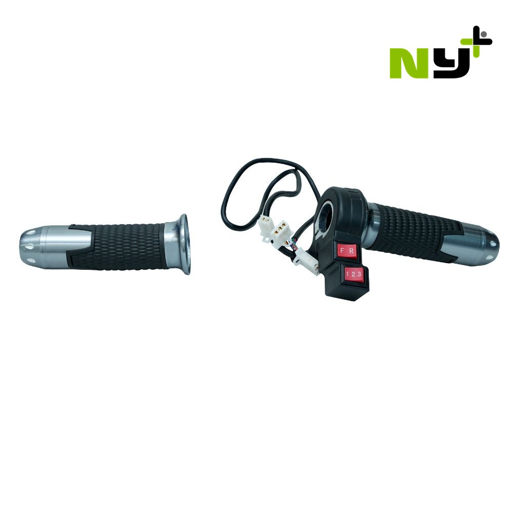 E Rickshaw Throttle Set