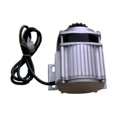 48v/900watt BLDC Motor