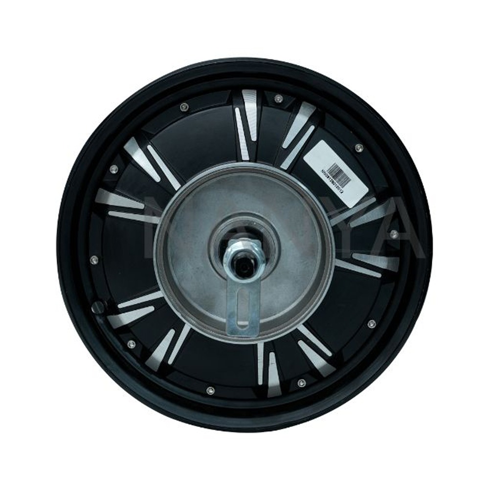Hub Motor 10" 800 Watt - View 2